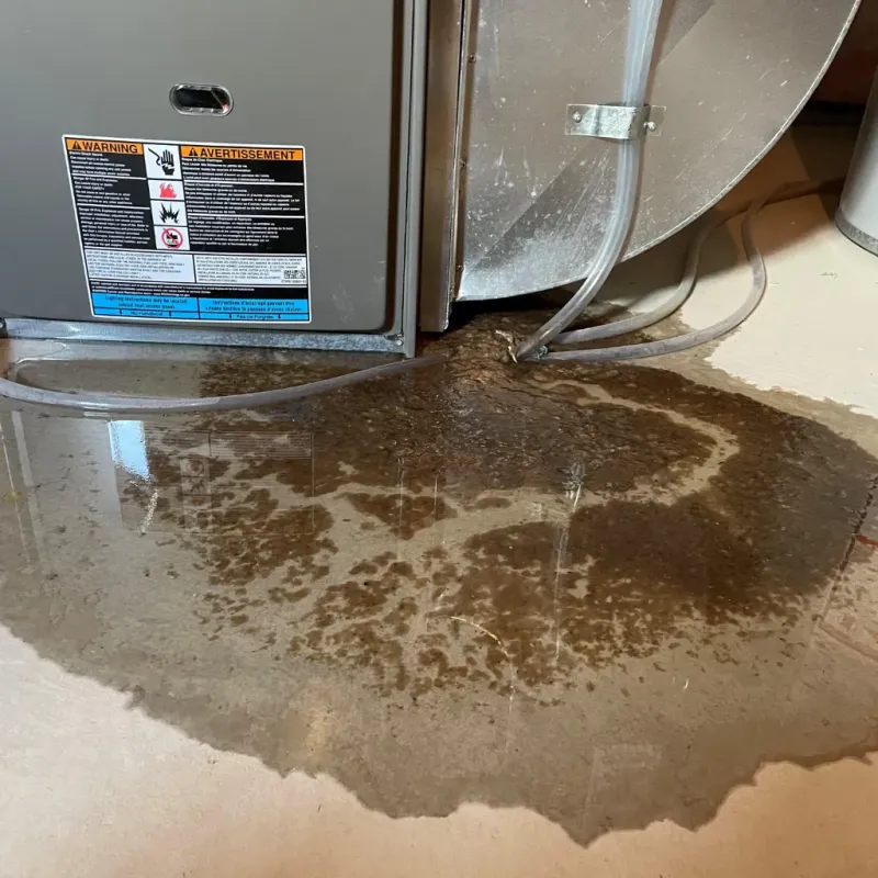 Appliance Leak Cleanup in Washington, IA